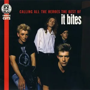 Calling all the heroes : the best of It bites